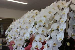 器の杜 新社屋 土岐 陶器 卸