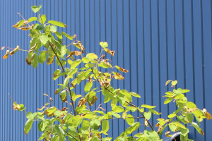 器の杜 新社屋 土岐 陶器 卸